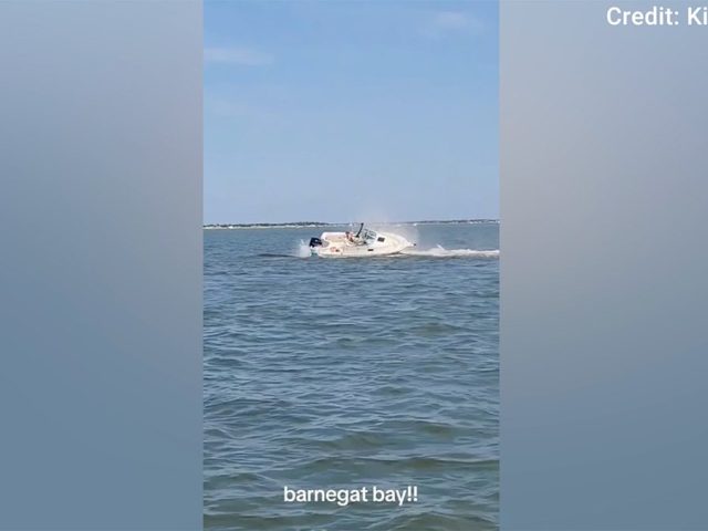 Boat collision with whale sends passenger overboard, kills 20-foot marine mammal