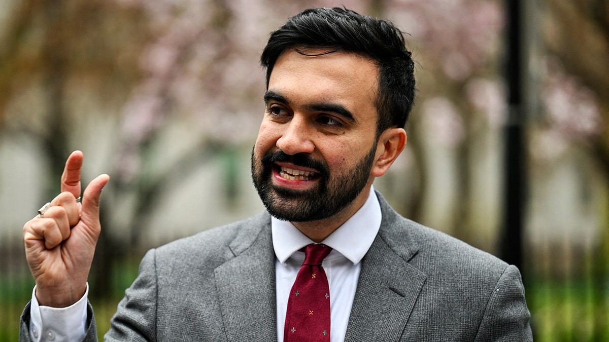 New York lawmaker sounds alarm on potential 'devastating' effects of Mamdani victory: 'Chaos'  at george magazine