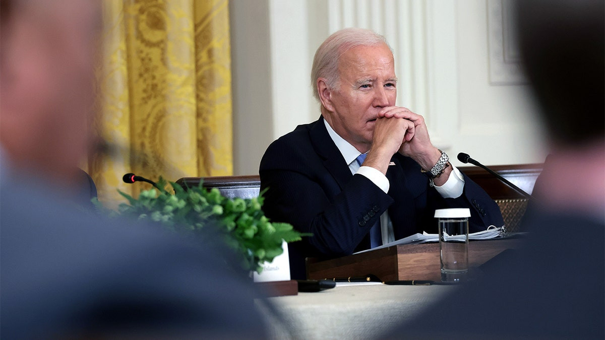 Democratic donors reluctant to give to Biden's presidential library: report  at george magazine
