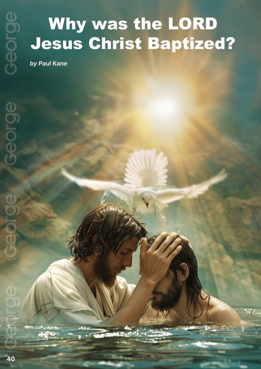 Faith’s Corner  at george magazine