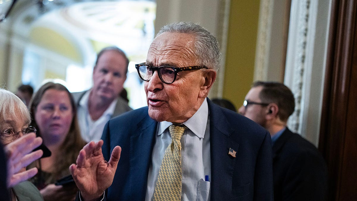 Schumer silent as Van Hollen blasts 'spineless' NY Democrats over Mamdani snub  at george magazine