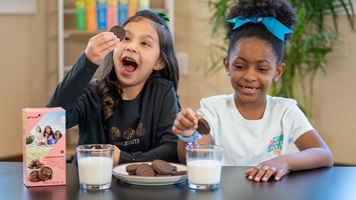 Girl Scouts hope 'incredible' new cookie will help crumbling sales, financial losses  at george magazine