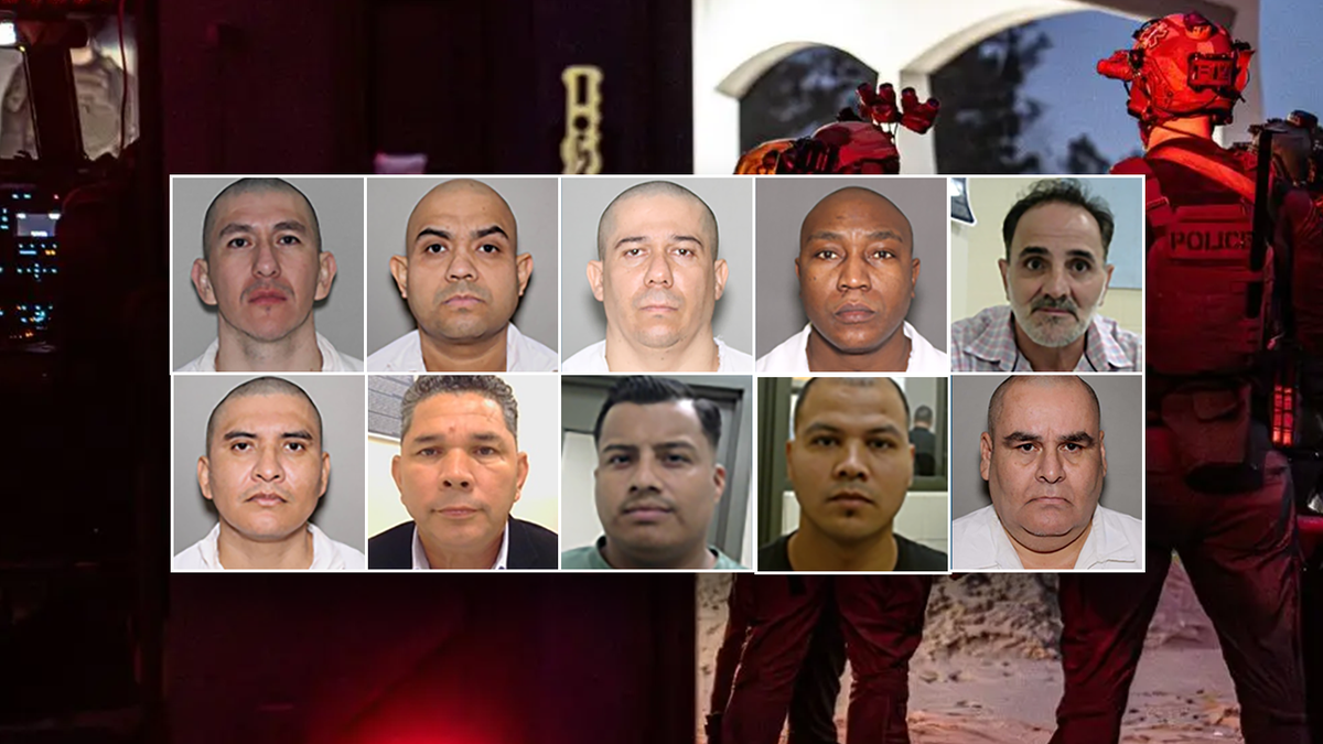 Massive ICE operation nets gang members, murderers, child predators: 'wreaked havoc'  at george magazine