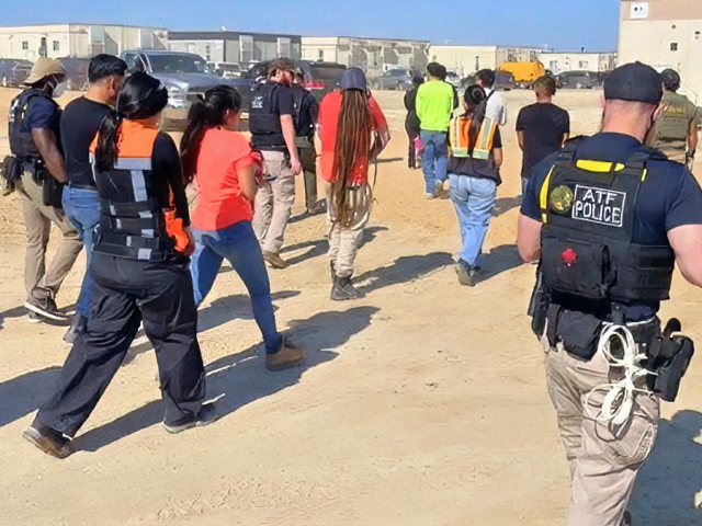 Former DHS official hails ICE raid on Georgia EV plant as ‘great deterrent’ against hiring illegals