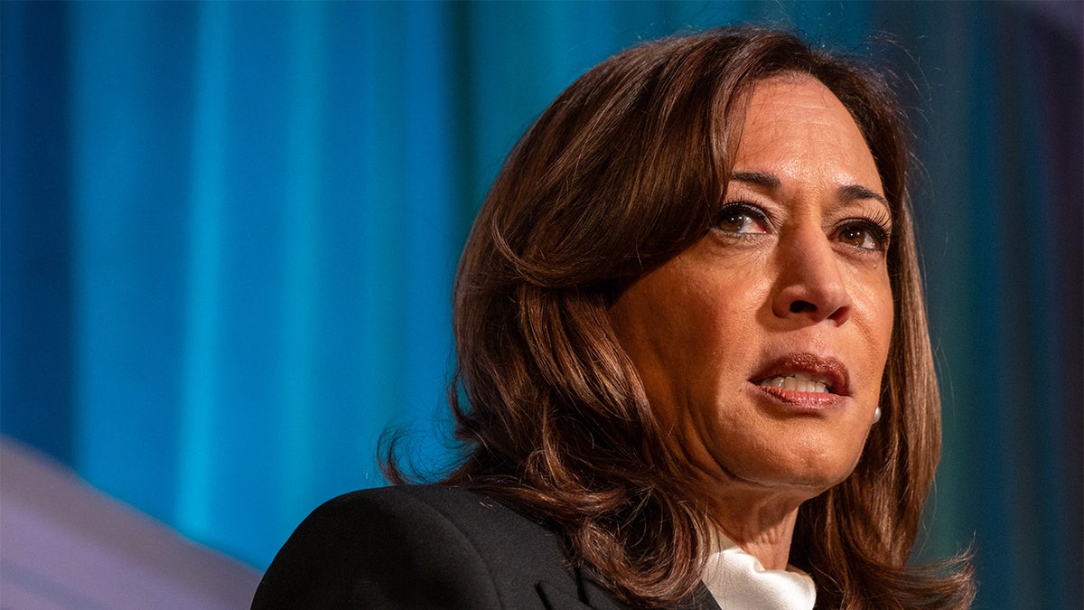 Harris calls Trump a ‘tyrant,’ lambasts ‘feckless’ CEOs for capitulation  at george magazine