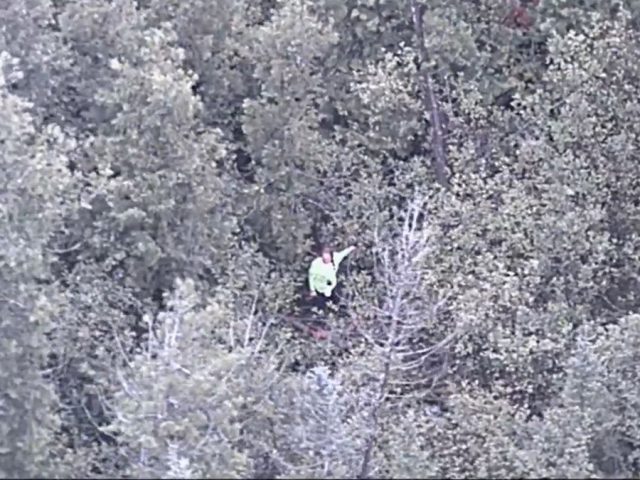 YouTube survival show contestant rescued in densely wooded Michigan area