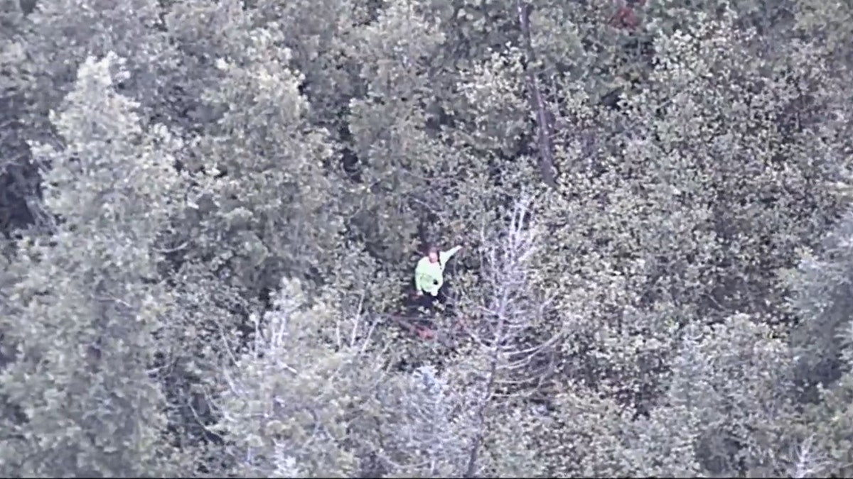 YouTube survival show contestant rescued in densely wooded Michigan area  at george magazine