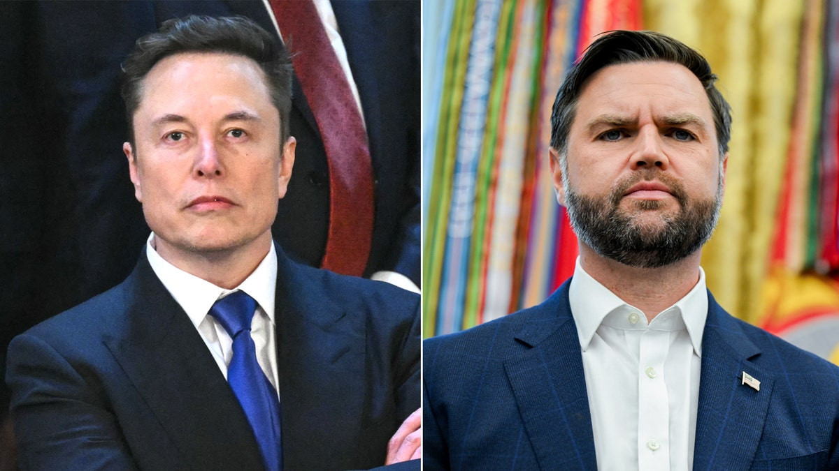 Elon Musk agrees with JD Vance on the 'big lie the Democrats told about violent crime'  at george magazine
