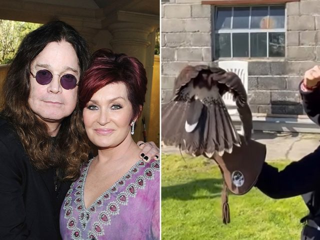 Sharon Osbourne finds ‘magical’ comfort in unusual hobby following Ozzy Osbourne’s death