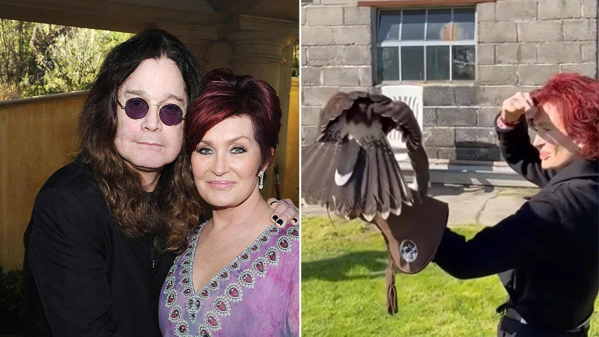 Sharon Osbourne finds 'magical' comfort in unusual hobby following Ozzy Osbourne's death  at george magazine