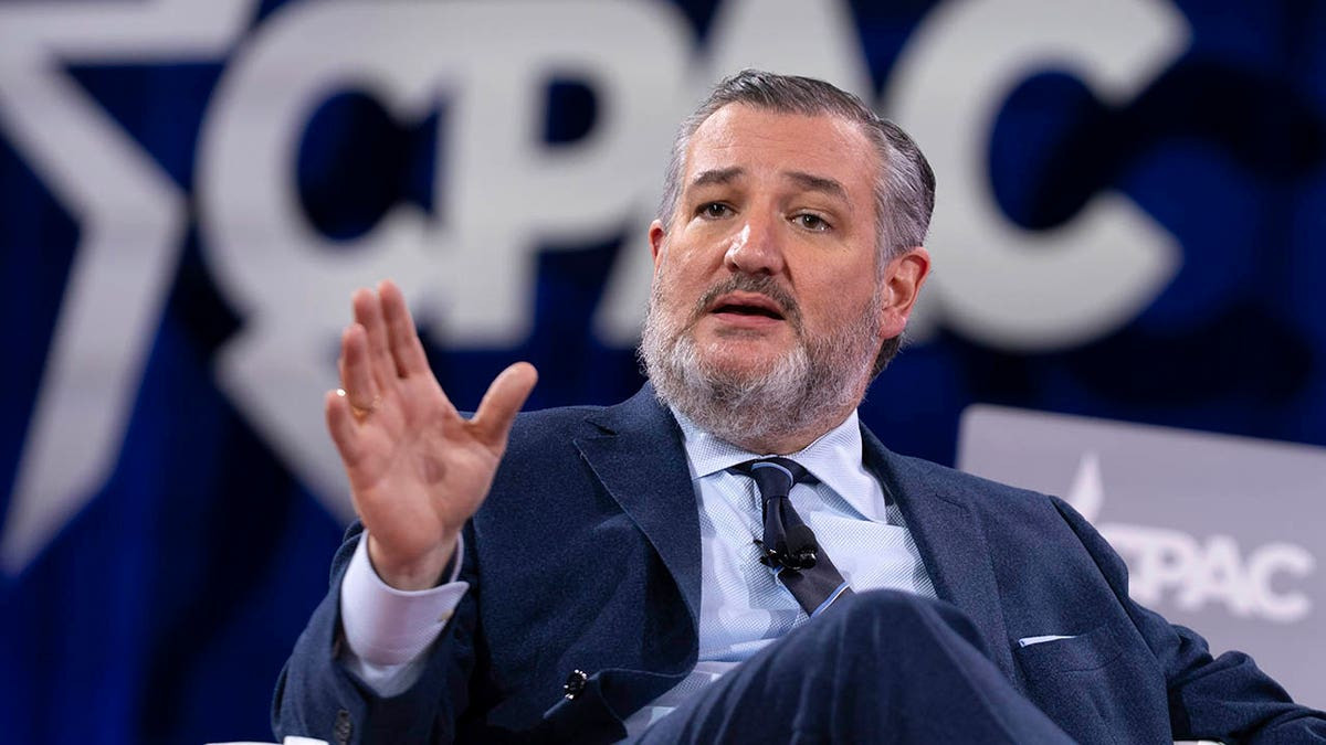 Ted Cruz says hate speech 'absolutely' protected by First Amendment following Charlie Kirk's assassination  at george magazine