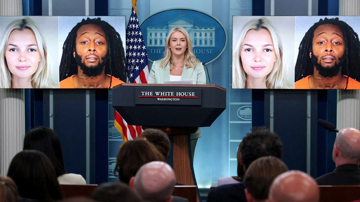 White House torches media after killer’s mother admits son should’ve been jailed before Zarutska murder  at george magazine