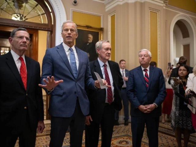 WATCH LIVE: Trump holds lunch with GOP senators in Rose Garden