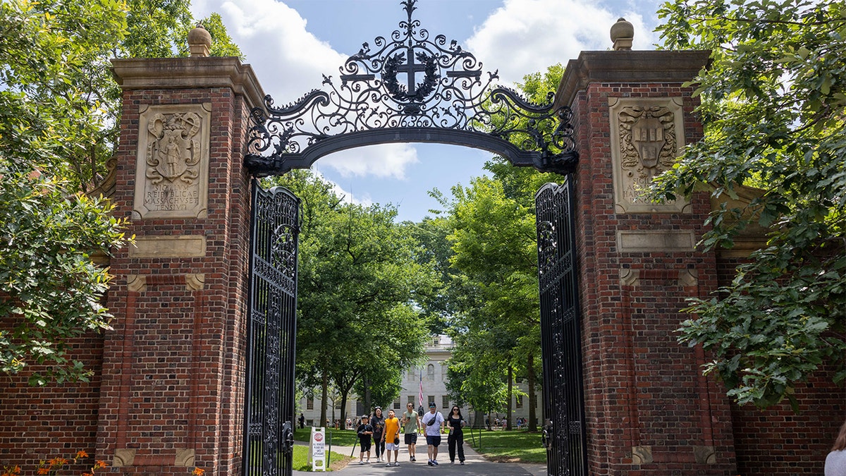 Harvard charging $13K for DEI certificate on ‘bias’ and ‘privilege’  at george magazine