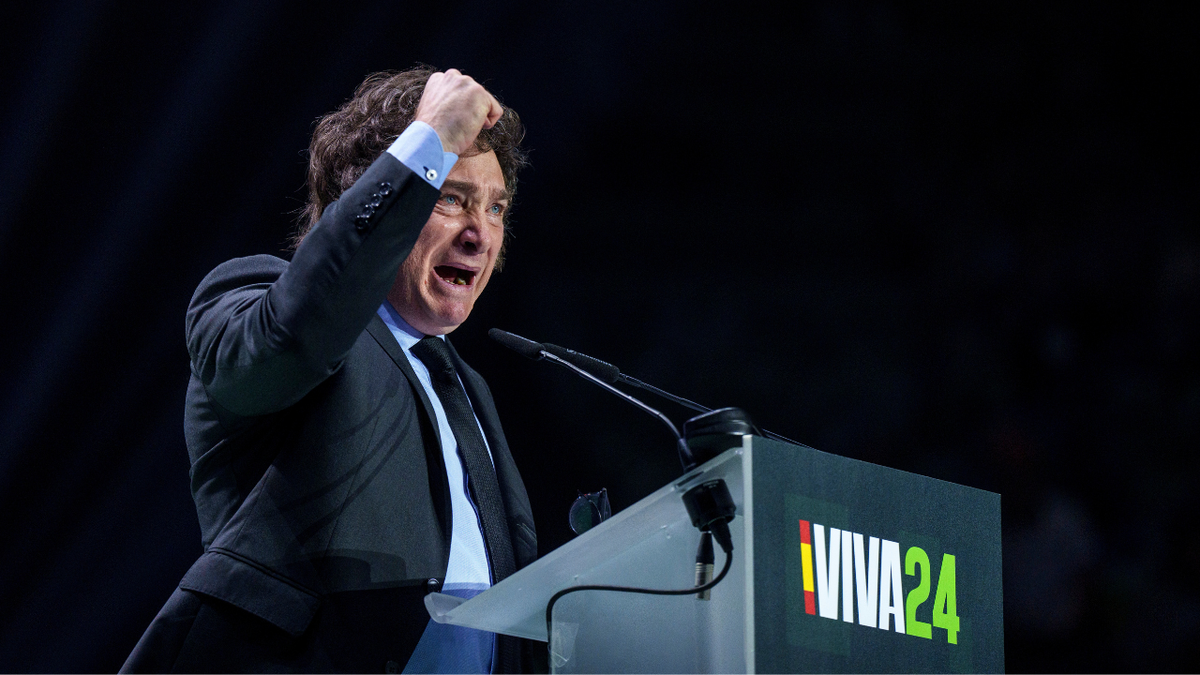Milei scores historic win in Argentina midterms, tightens grip on Congress  at george magazine