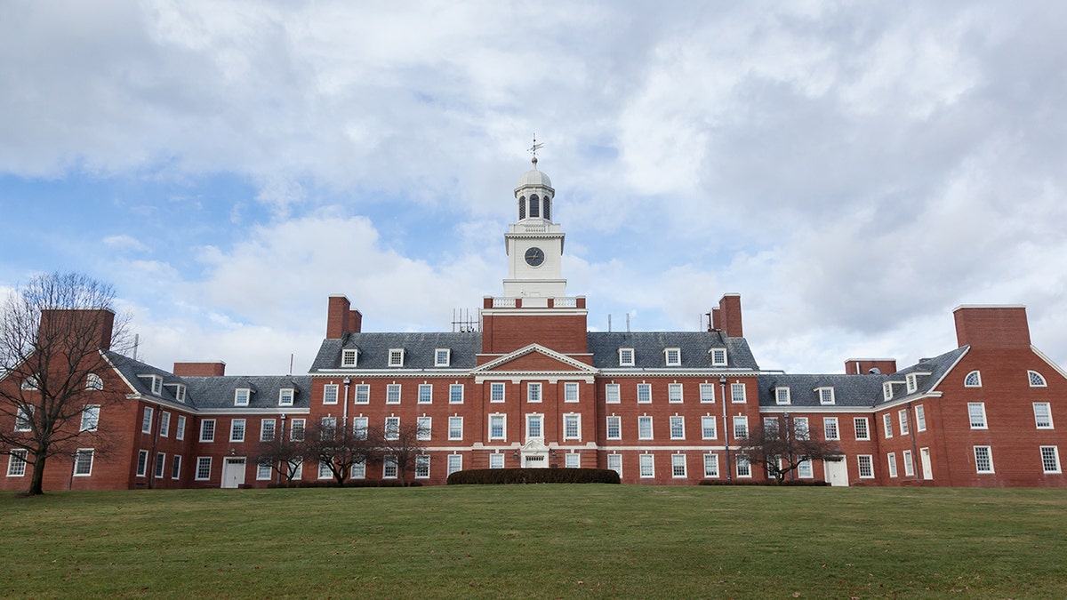 Rutgers leader demands TPUSA officers be ousted after they called out Antifa-linked professor  at george magazine