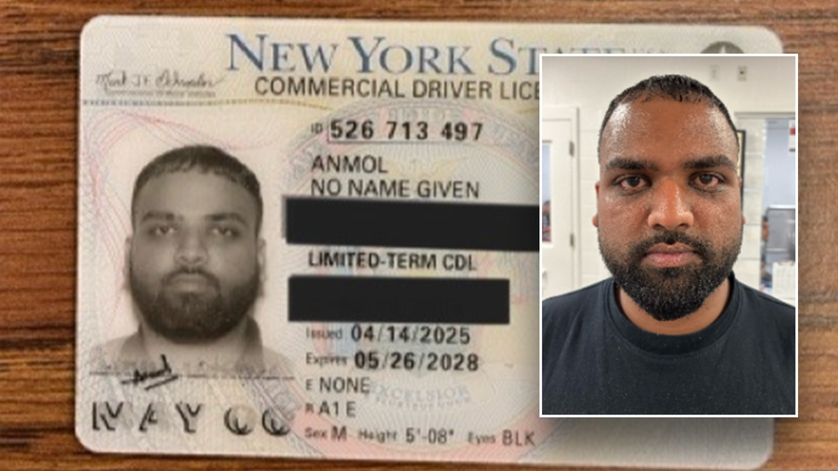 Blue state in the hot seat after ICE busts Illegal immigrant with 'NO NAME GIVEN' on license  at george magazine