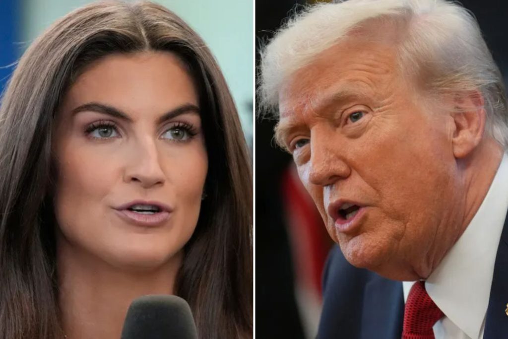 CNN’s Kaitlan Collins says Trump is more ‘accessible’ than ‘typical’ president  at george magazine