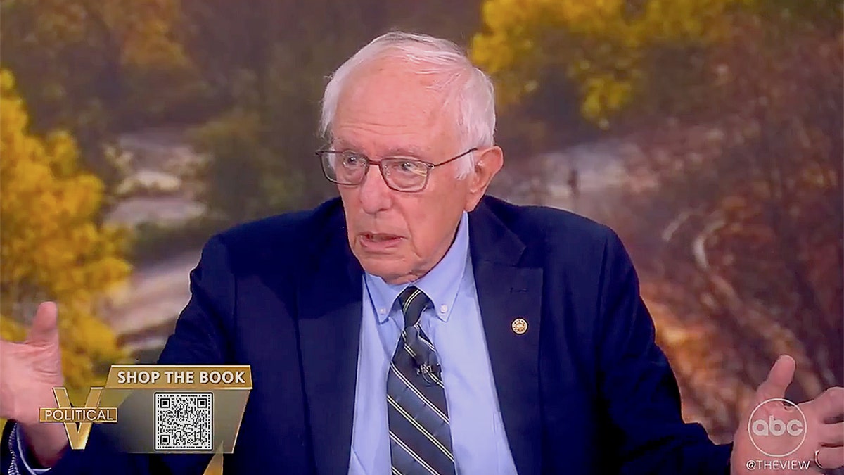 Bernie Sanders says Democrats need to make 'fundamental decision' about what they stand for  at george magazine
