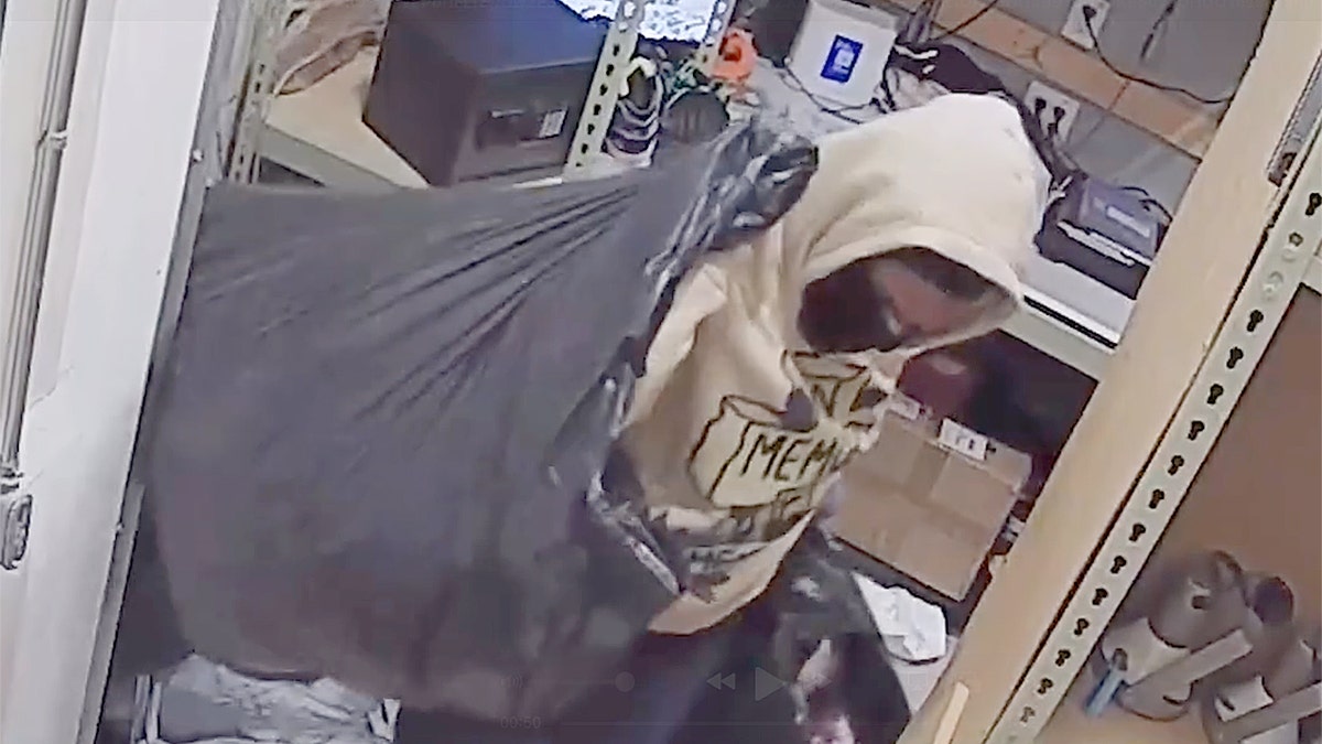 Masked looters caught on camera trashing Florida store, stealing clothes  at george magazine