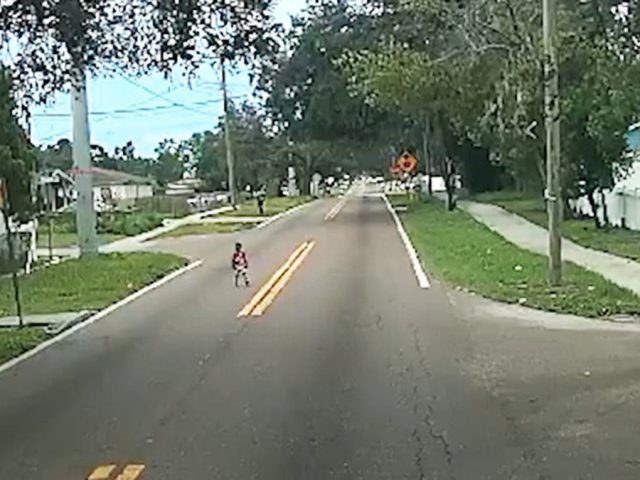 Bus driver hailed as hero for saving young child wandering alone on busy street