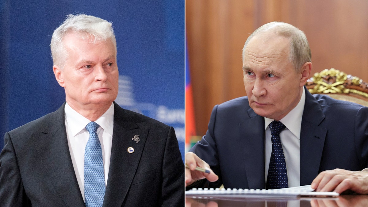 NATO fighter jets scrambled after Russian planes allegedly violate airspace  at george magazine