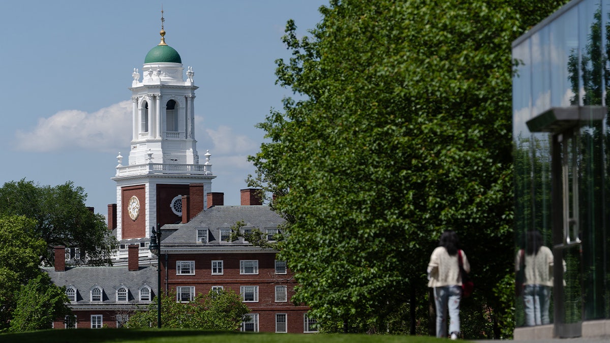 Harvard faculty admit students skipping class, not engaging with opposing views, and still getting good grades  at george magazine