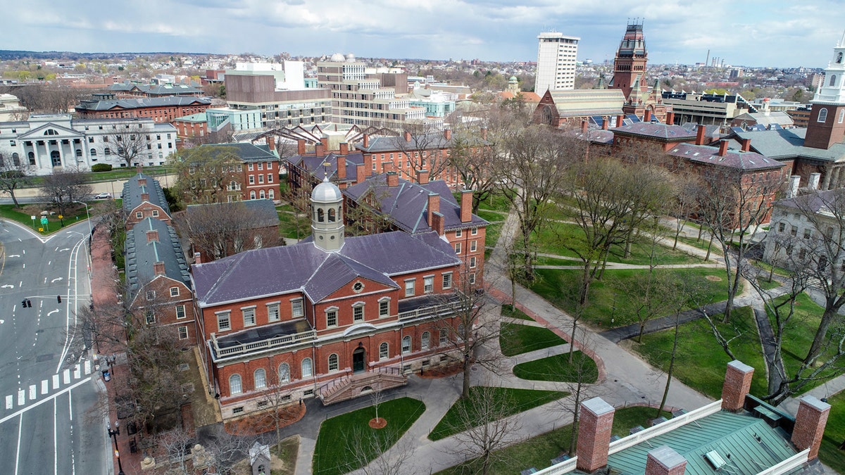Harvard brass mum as rival schools denounce political violence after series of professor blunders  at george magazine