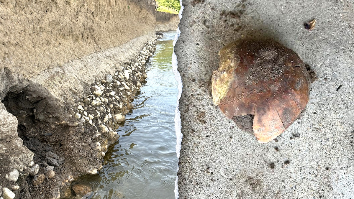 Hobbyist finds 4,270-year-old human skull on Indiana riverbank, stumping authorities  at george magazine
