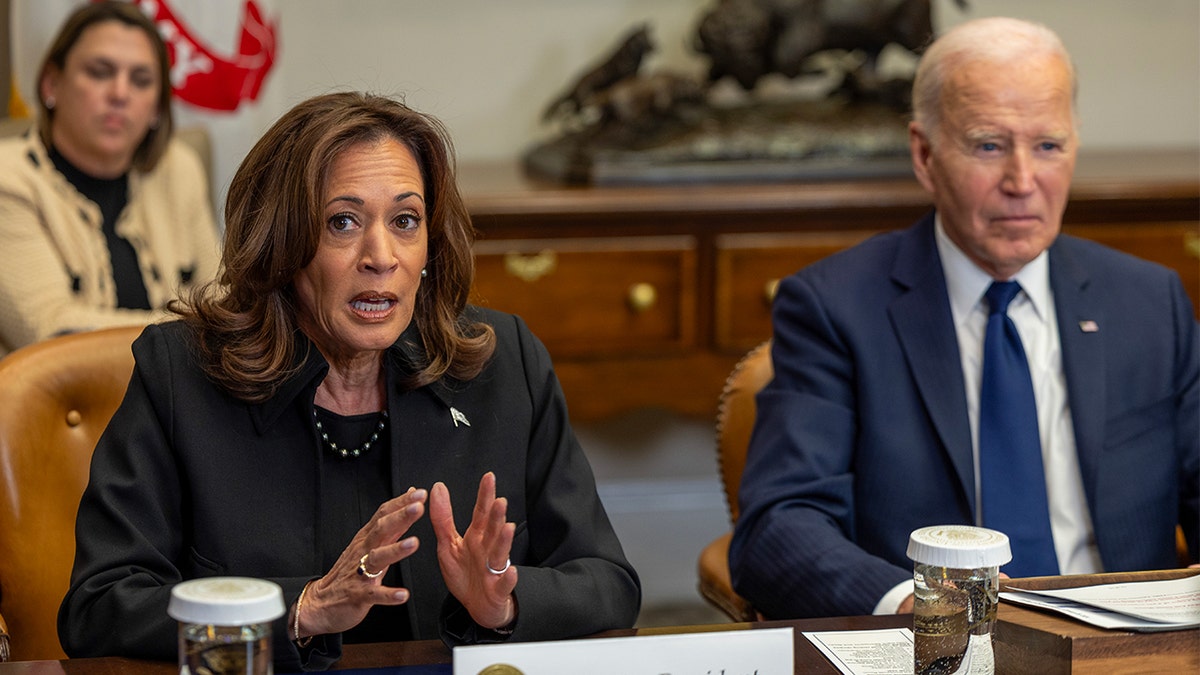 Kamala Harris grilled by BBC journalist on why she didn't raise concerns about Biden's capacity  at george magazine