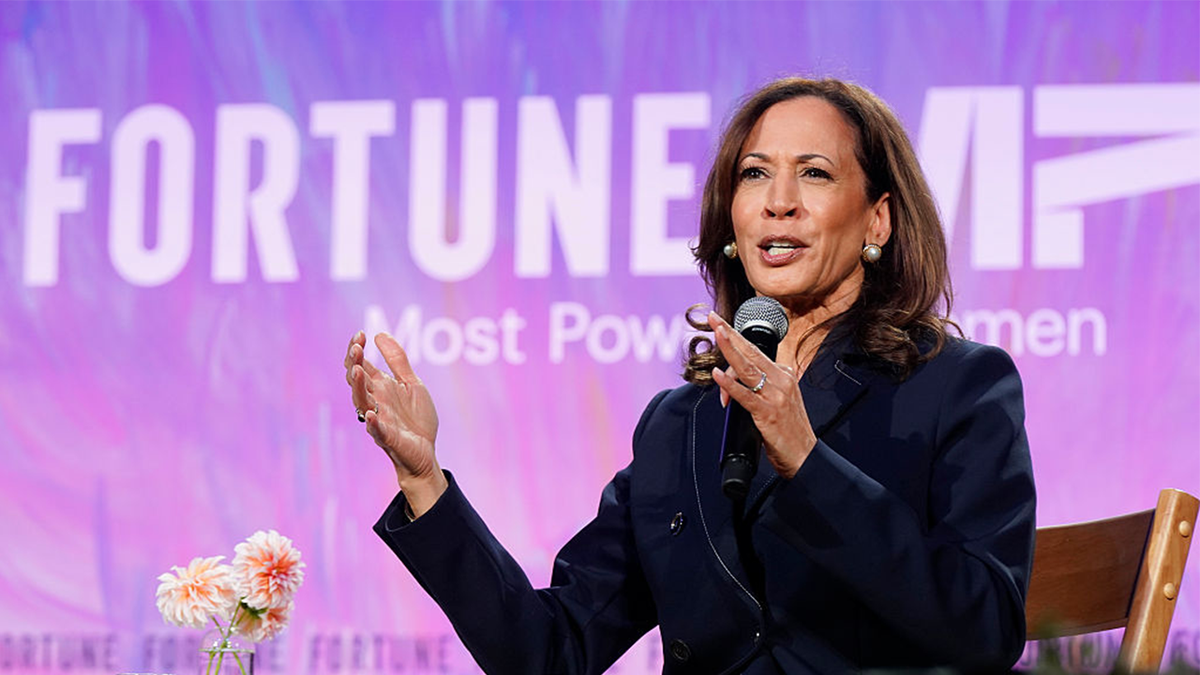 Kamala Harris says Biden made 'big mistake' by not inviting Musk to EV event in 2021  at george magazine