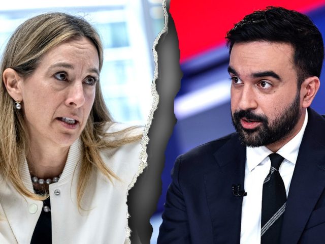 Democrats torn between progressive fire and centrist caution as November elections loom