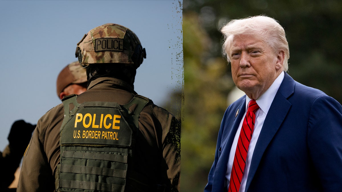 White House reveals illegal migrants who received Medicaid as shutdown over healthcare drags on  at george magazine