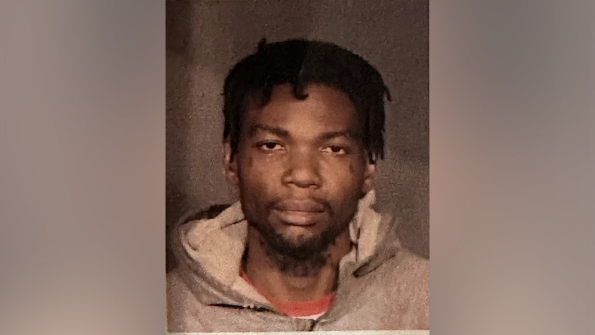 Blue city perp with 50+ arrests accused of pushing stranger onto train tracks in fifth attack that day: report  at george magazine