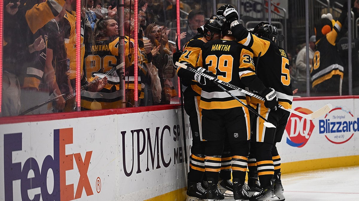 NHL fan falls from upper concourse during Penguins game  at george magazine