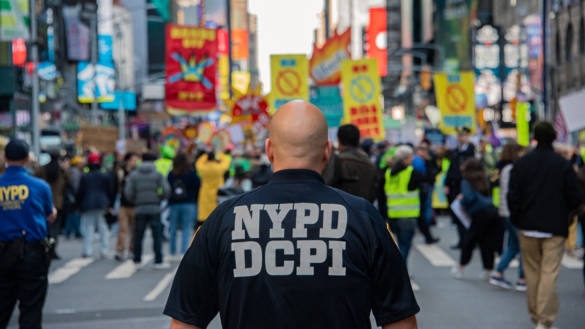 'No Kings' agitator vowed to ‘fight ICE’ with firebombs at blue city's protest: report  at george magazine