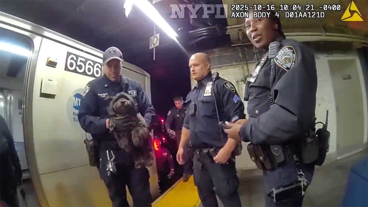 Dramatic video shows NYPD officers rescuing a missing dog named Moose from beneath a Manhattan subway train  at george magazine