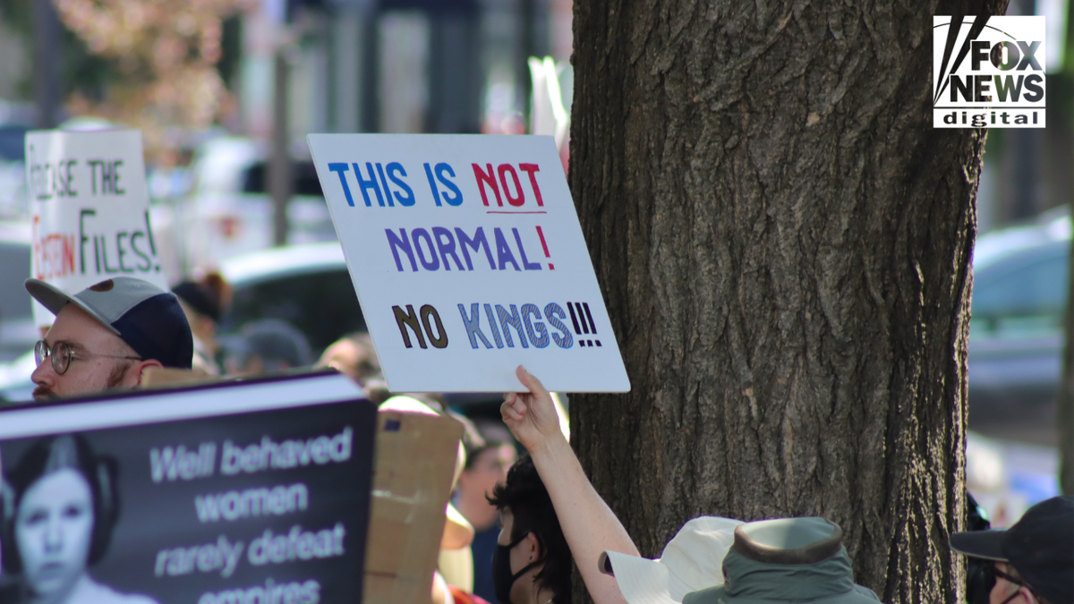 Anti-Israel radicals from 'global intifada' movement join 'No Kings' protests  at george magazine