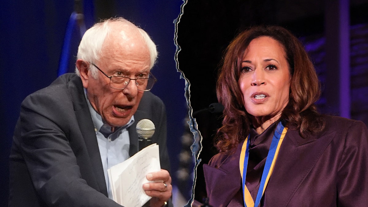 Bernie Sanders slams Kamala Harris' 2024 campaign, says she failed to focus on important issues  at george magazine