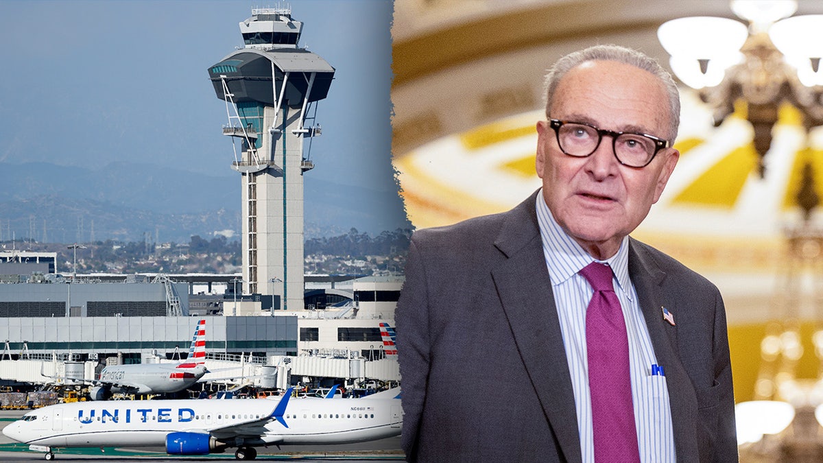 Americans could face airport chaos if Dems don't end shutdown, Trump official warns  at george magazine