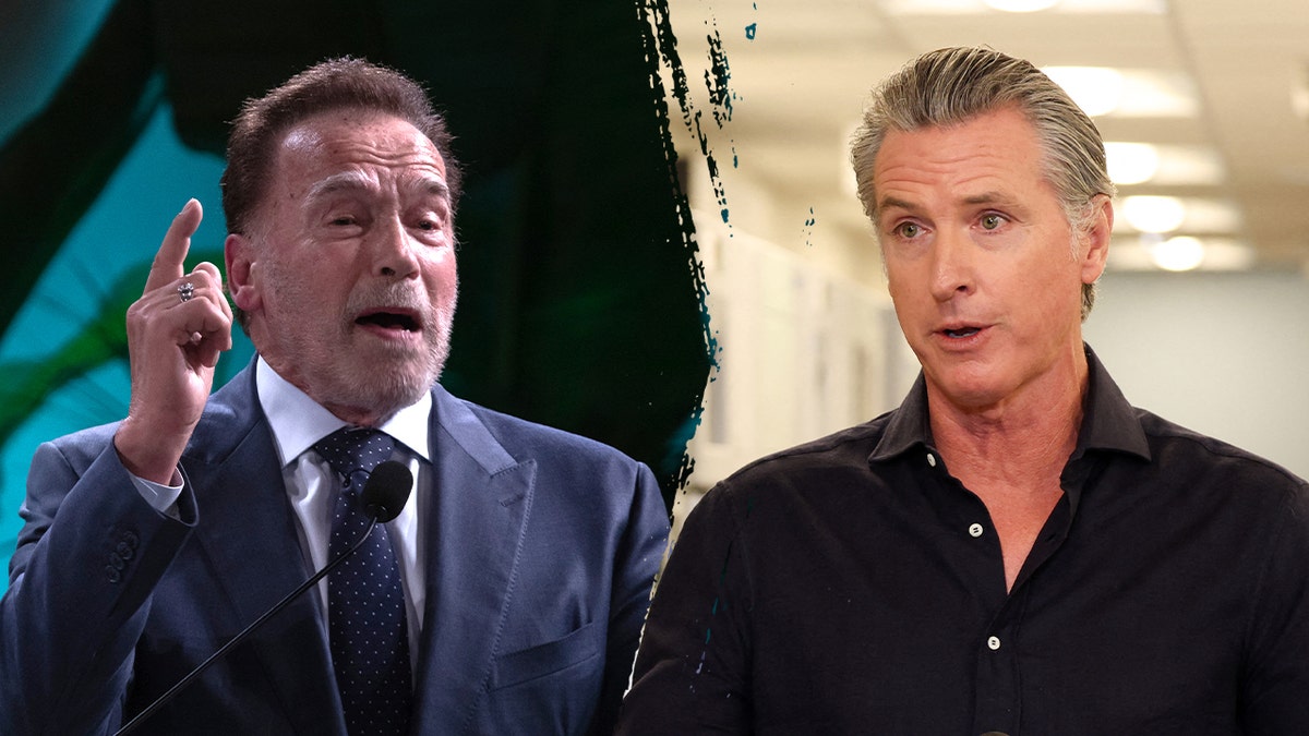 Arnold Schwarzenegger dismisses Newsom argument that redistricting effort is temporary as 'total fantasy'  at george magazine