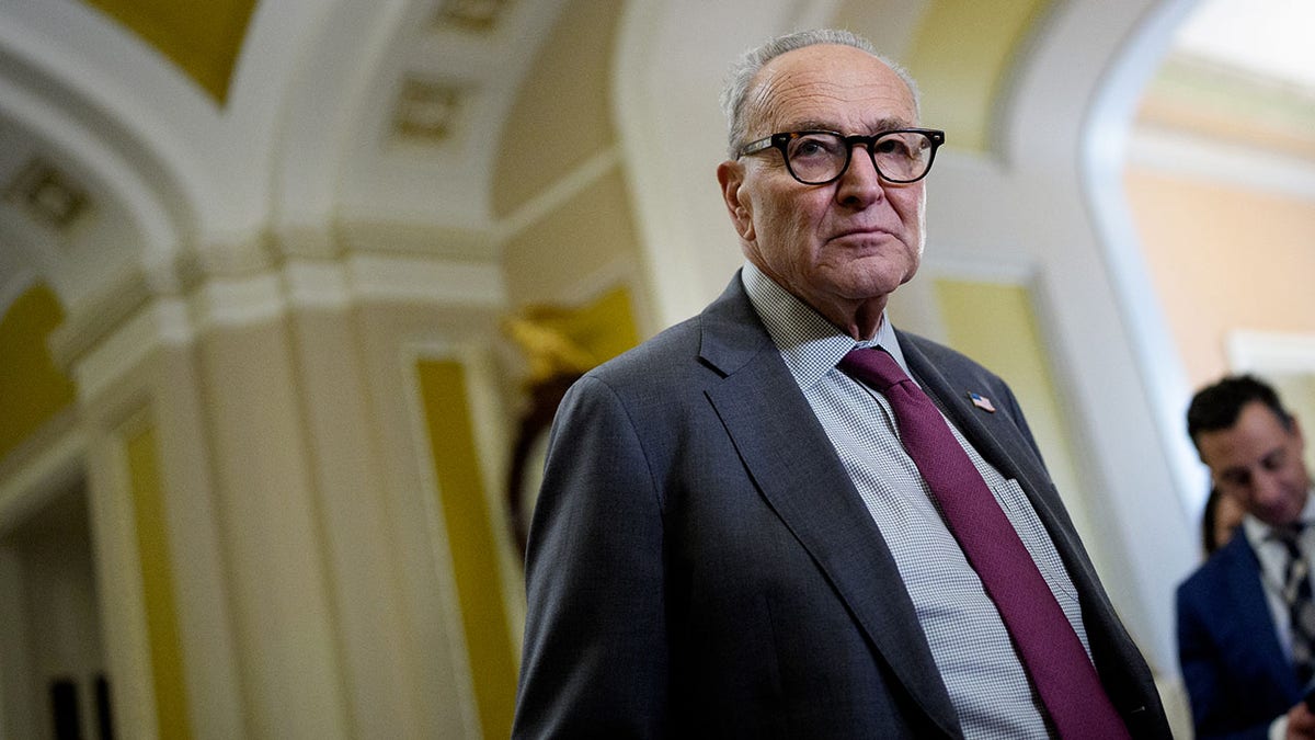 New York Republicans blast Schumer, Gillibrand over shutdown: ‘You’ve abdicated your responsibility’  at george magazine