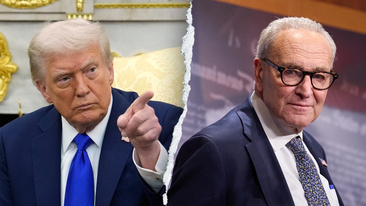 Trump says 'substantial' number of jobs will be permanently lost if shutdown persists, Dems 'have no leader'  at george magazine