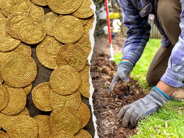 Couple stunned as Tudor-era treasure surfaces beneath their backyard garden