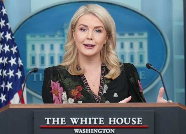 White House keeps it curt over Dick Cheney, says flags lowered ‘in accordance with statutory law’