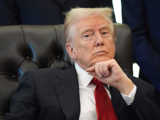 Trump eyes up more rare earth deals in Russia’s backyard