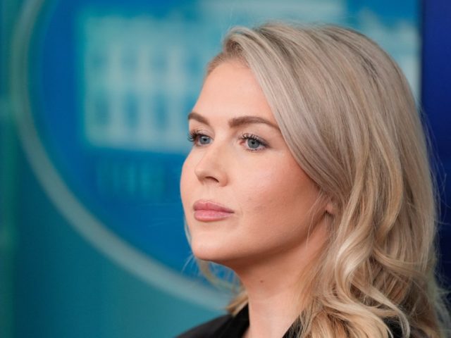 ICE arrest of Karoline Leavitt’s relative reveals pervasiveness of visa overstayers