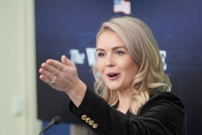 Russia and Ukraine worked ‘equally’ with US counterparts on peace deal for a month, Leavitt says  at george magazine