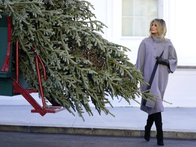 WATCH LIVE: Melania Trump welcomes the 2025 White House Christmas tree