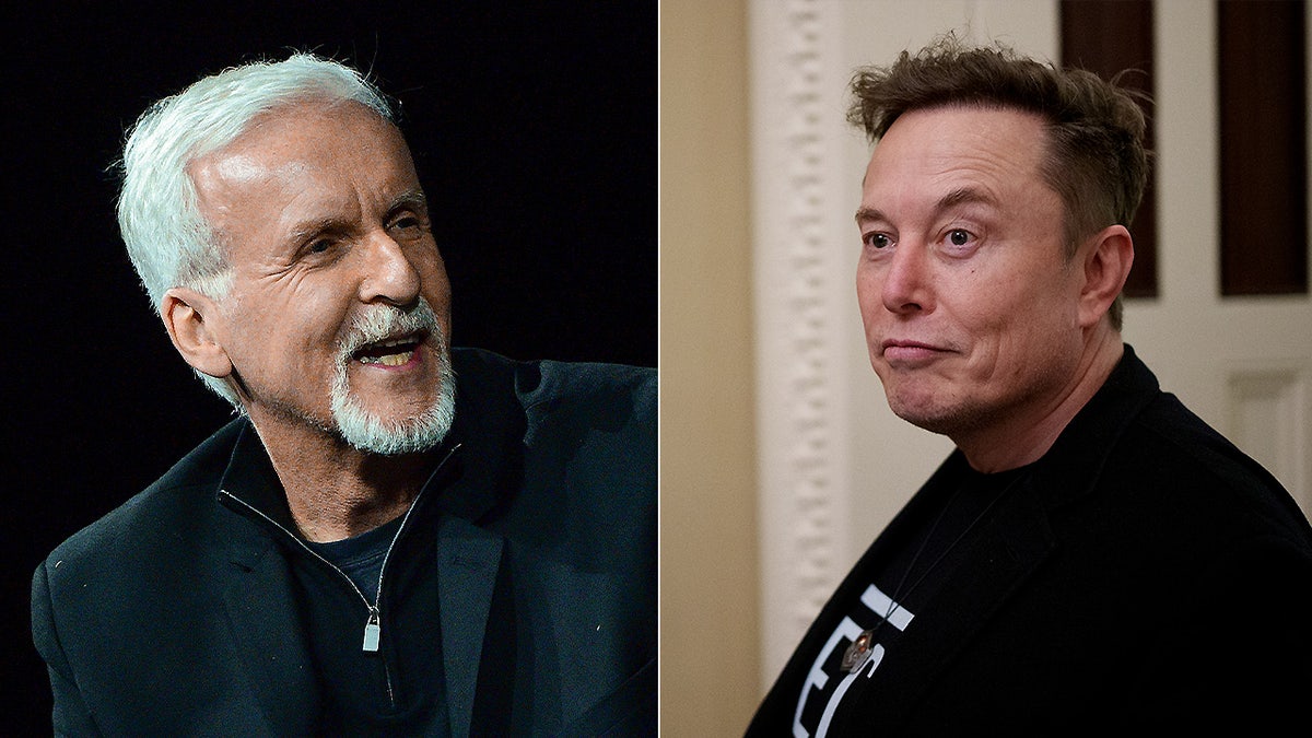 Director James Cameron says he can still work with Elon Musk despite political differences  at george magazine